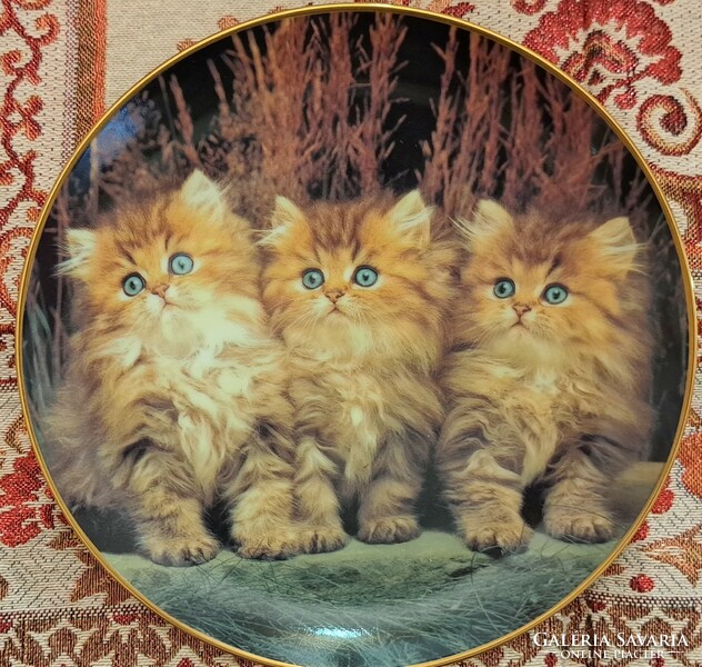 Porcelain decorative plate with three cats, wall plate with cats (l4341)