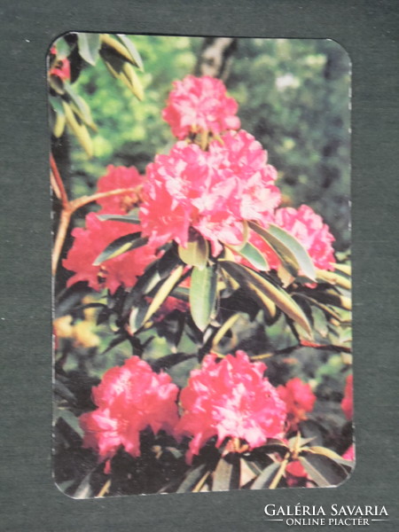 Card calendar, nyfk fagazdaság combine, Szombathely, flower, 1986, (3)