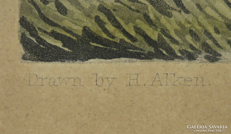 H. Alken : "A Rare sort for the Downs."