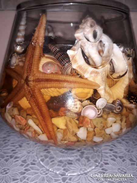 Üveg mécsestartó kagylókkal