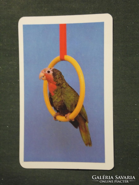Kártyanaptár, ajándék üzletek, állatok sorozat, madár, papagáj, 1987,   (3)