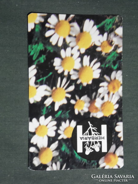 Card calendar, herbarium medicinal plant sales company, Budapest, camomile flower, 1987, (3)