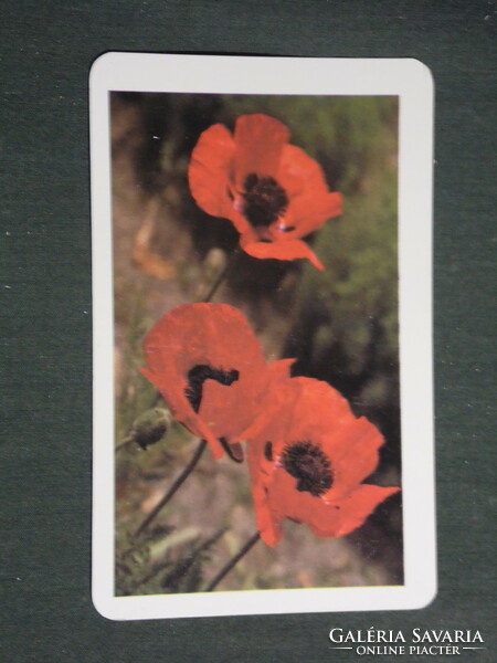 Card calendar, poster house Budapest, flowers, plants series, poppies, 1987, (3)