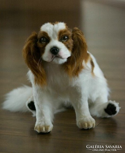 Lifelike cavalier king charles spaniel plush portrait, realistic spaniel dog portrait artistic animal