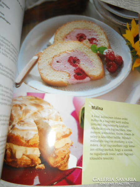 --Big Cake Book: