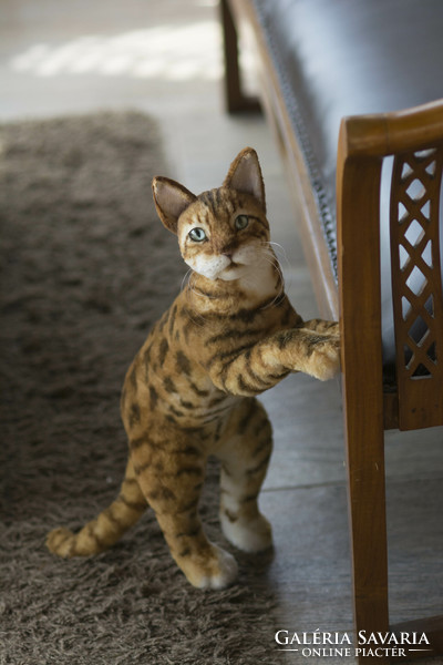 Lifelike Bengal cat portrait, realistic Bengal kitten plush replica toy to order
