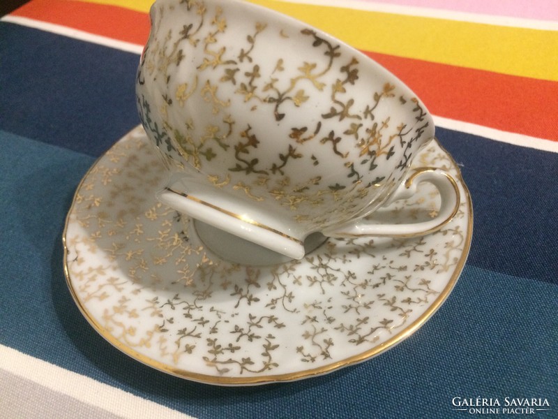 Vintage porcelán csésze aljjal-Bavaria Winterling