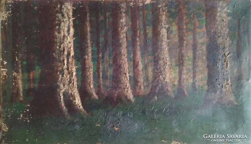 Szepes Kuszka Jenő, forest detail! Oil/canvas, jjl: Jenő Kuszka Szepes. 36X59cm, small scratches