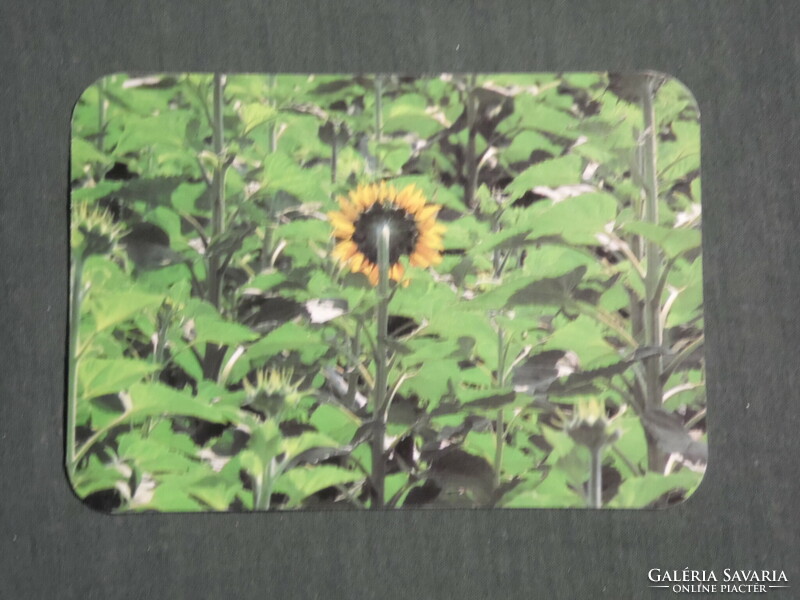 Card Calendar, Budapest Bank, Sunflower, 1994, (3)