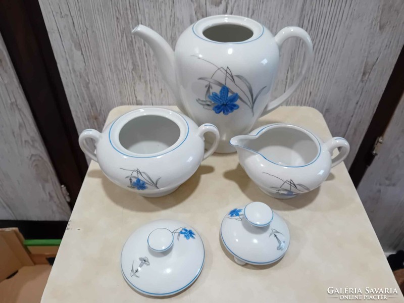 Haas & czjzek chodau retro Czechoslovakian porcelain coffee set