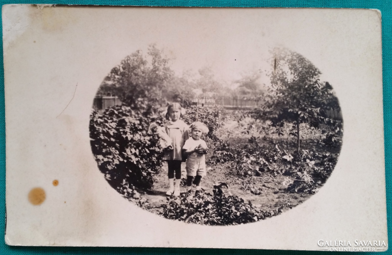 Antik fotó képeslap, gyerekek a gyümölcsösben, játékok, ruházat, postatiszta