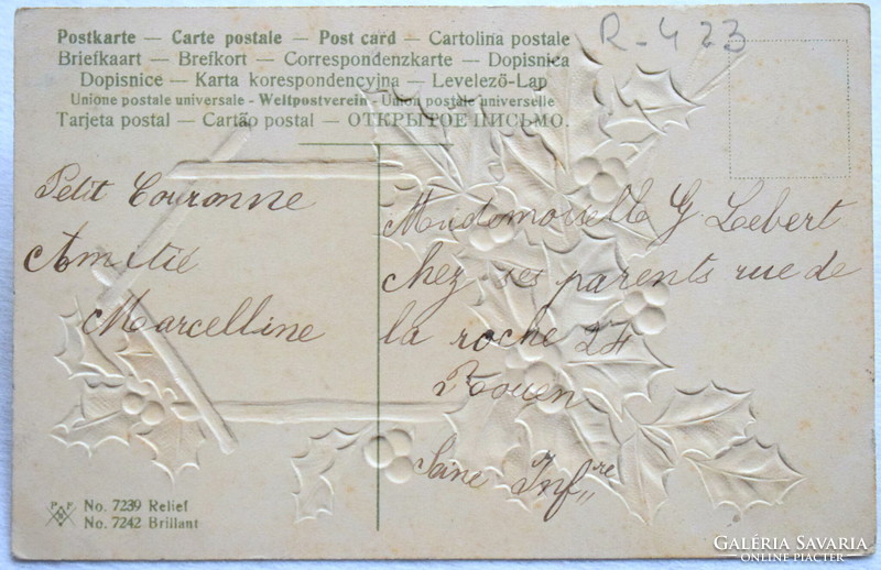 Antik dombornyomott Újévi üdvözlő képeslap - magyal, madáretetőben téli táj  1907ből