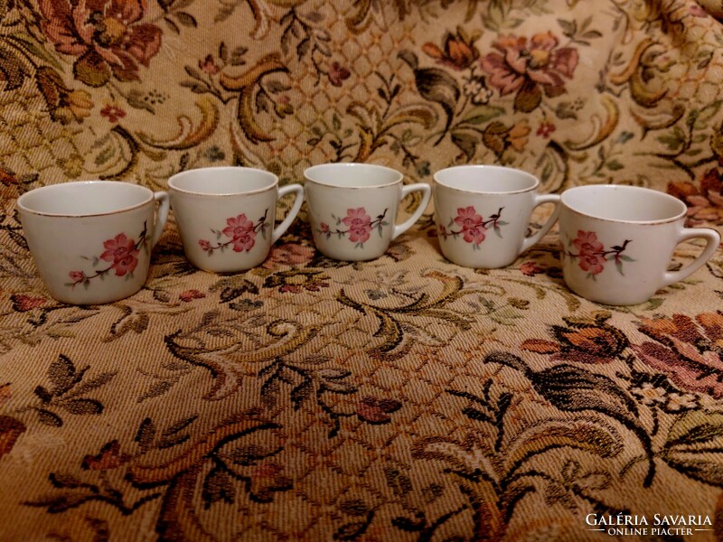 Drasche coffee cups. 5 Pcs with floral pattern. Granite spout.