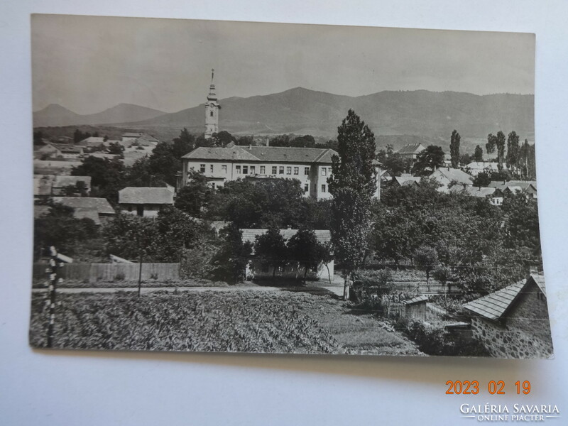 Old postcard: shepherd, landscape (50s)