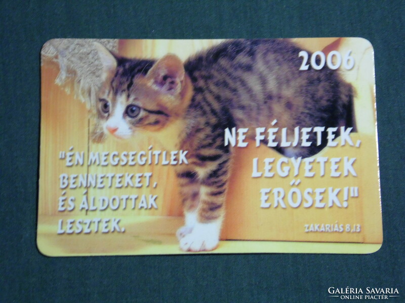 Kártyanaptár, vallás, állatok sorozat, macska, cica, 2006,   (3)