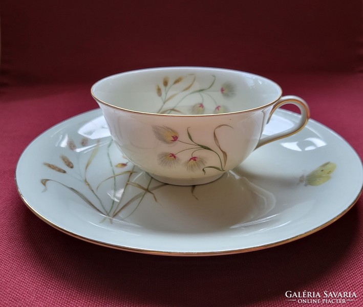 Elfenbein Bavarian porcelain coffee tea breakfast set incomplete cup small plate plate flower butterfly