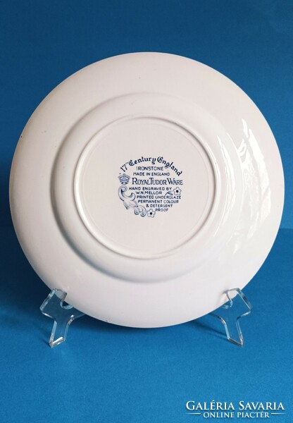 Ironstone royal tudor ware blue scene English porcelain bowl plate