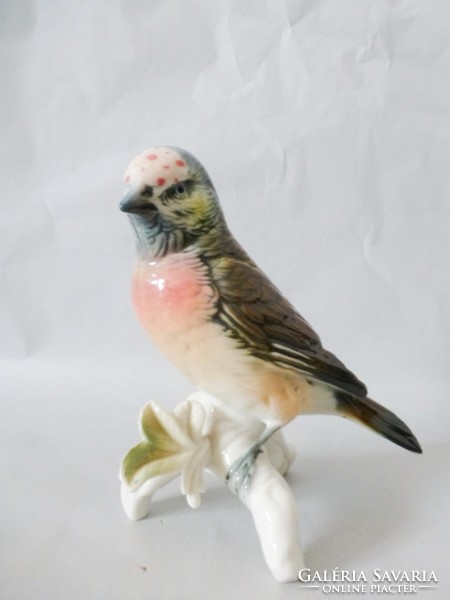 Gyönyörű,ritka Karl Ens porcelán madár