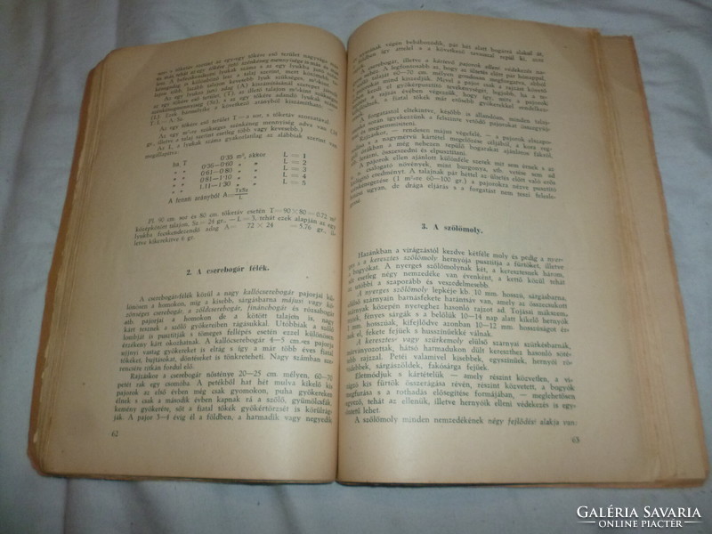 Régi könyv gyakorlati szőlőtermesztés 1937