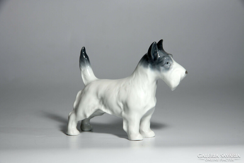 Metzler & Ortloff Skót Terrier Porcelán Kutya 10x8cm