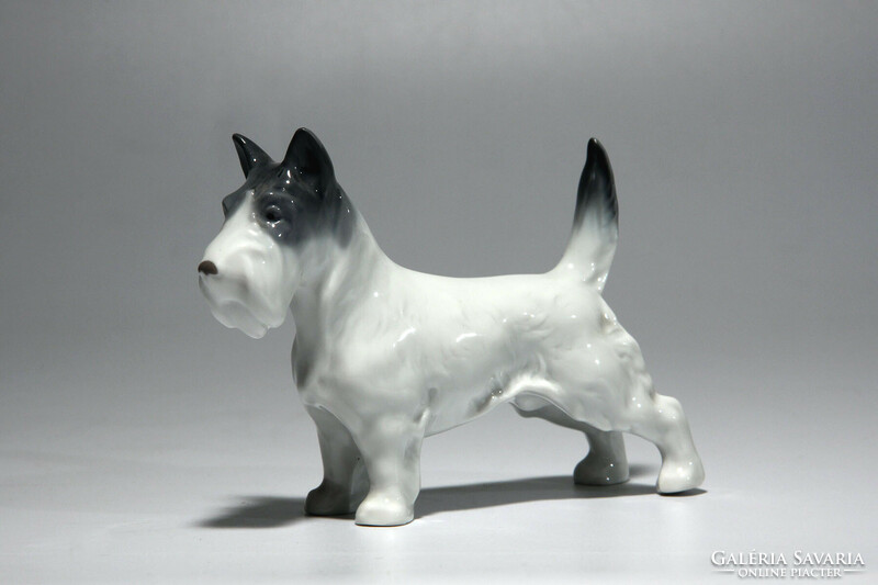 Metzler & Ortloff Scottish Terrier porcelain dog 10x8cm