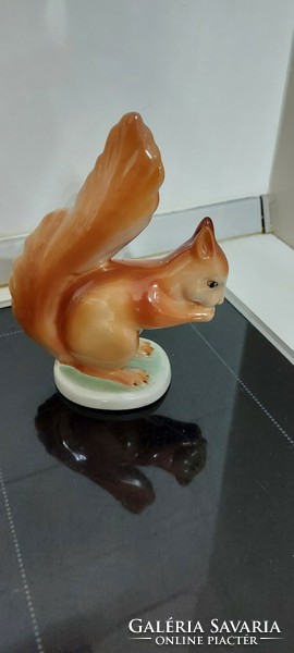 Drasche porcelán mókus