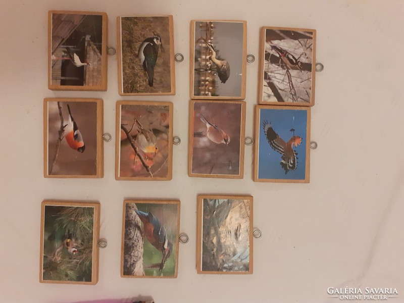 Small wooden board picture bases, with metal hanging loop, bird pictures 11 pcs in one