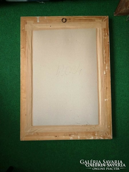 Magányos Harlequin gobelin kép üvegezett képkeret  53,5*73,5 cm