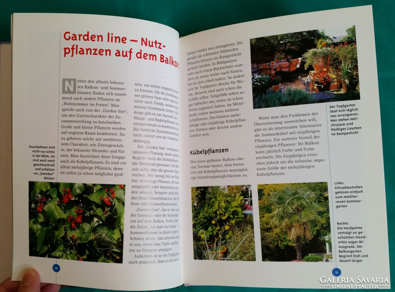 Die schönsten pflanzen für kübel und kästen - the most beautiful plants for pots and crates book in German