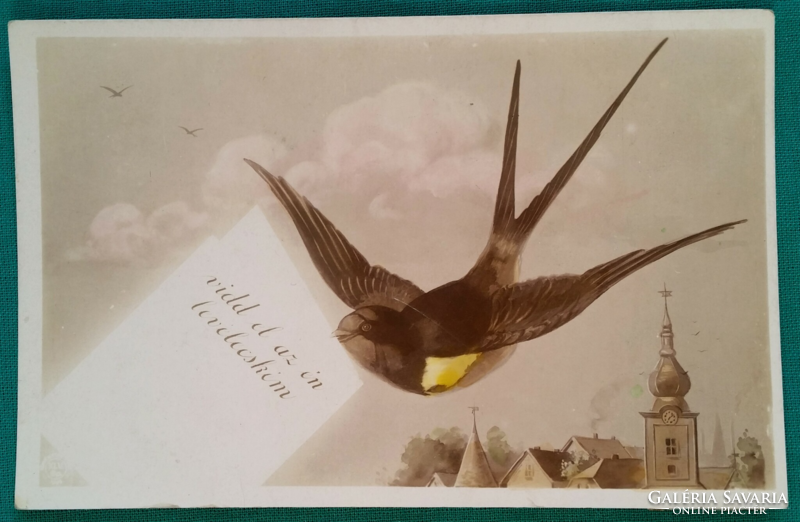 Antik színezett képeslap - madaras - futott