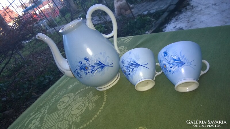 Antique teapot in excellent shape with 2 cups, numbered, early 1900s