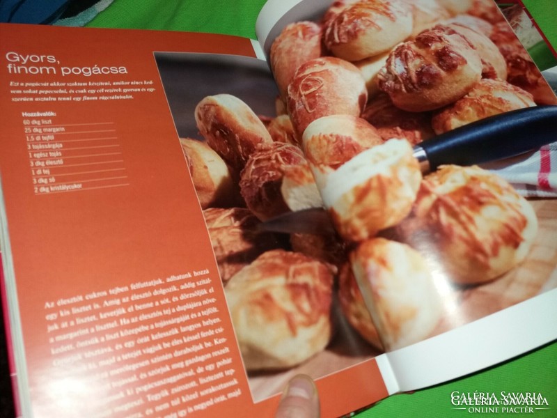 2012.Villamkonyha cookbook of Southern Magyar and the southern world according to pictures
