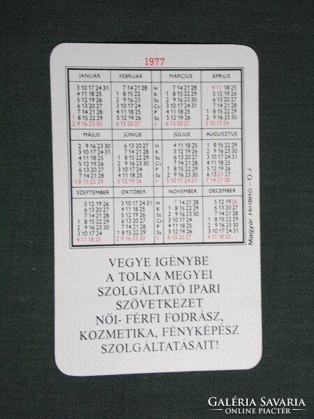 Kártyanaptár, Tolna megyei fodrász kozmetika SZISZ, Szekszárd, grafikai rajzos, 1977,   (4)