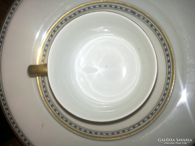 Schlaggenwald h&c porcelain tea cup and saucer - art&decoration