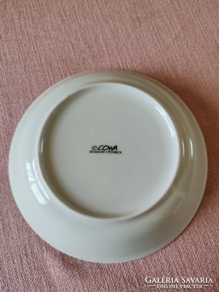 Porcelain children's plate