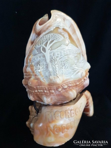 Régi,olasz a 30-as évekből kézzel faragott kagyló, Camea kagyló, csiga