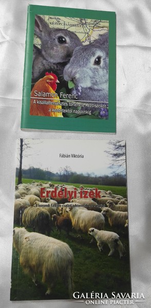 55 books related to Hungarians i. Among them are also rare publications.