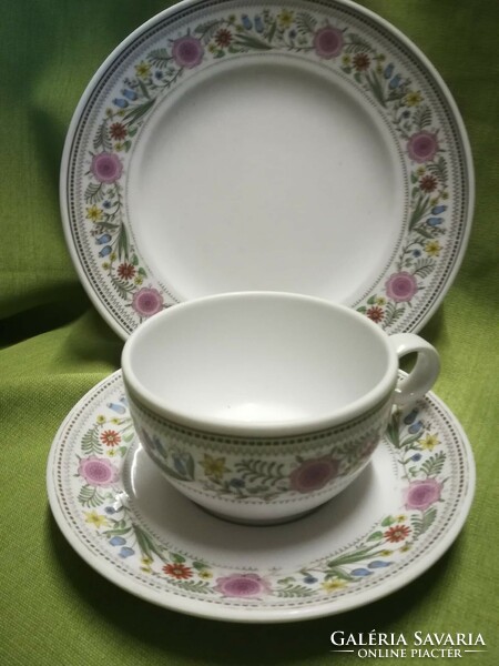 Thicker porcelain breakfast set, with a youthful, cheerful pattern.