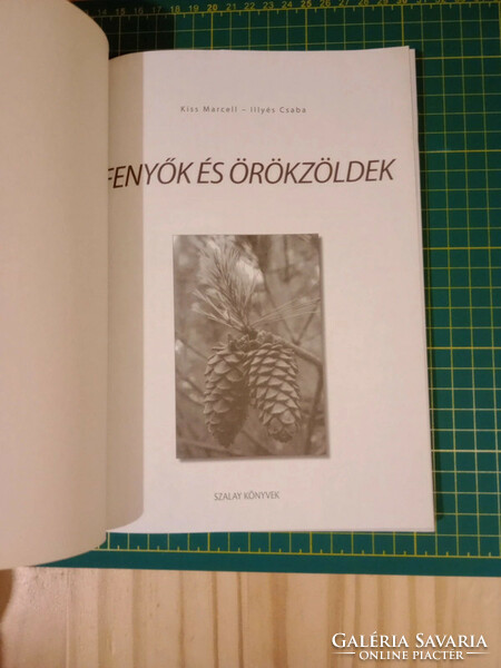 Marcel Kiss, Csaba Illyés - pines and evergreens