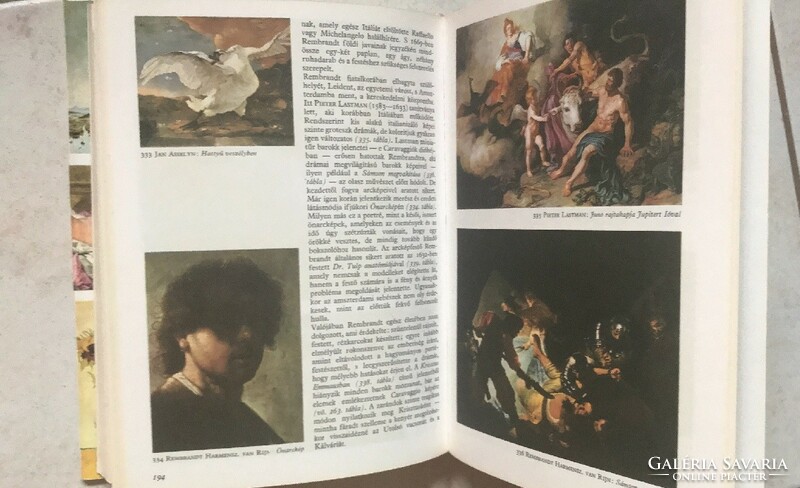 Michael Levey: A festészet rövid története - Giotto-Cézanne