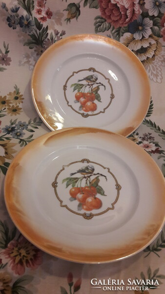 Antique Zsolnay bird and fruit porcelain plate (m2465)