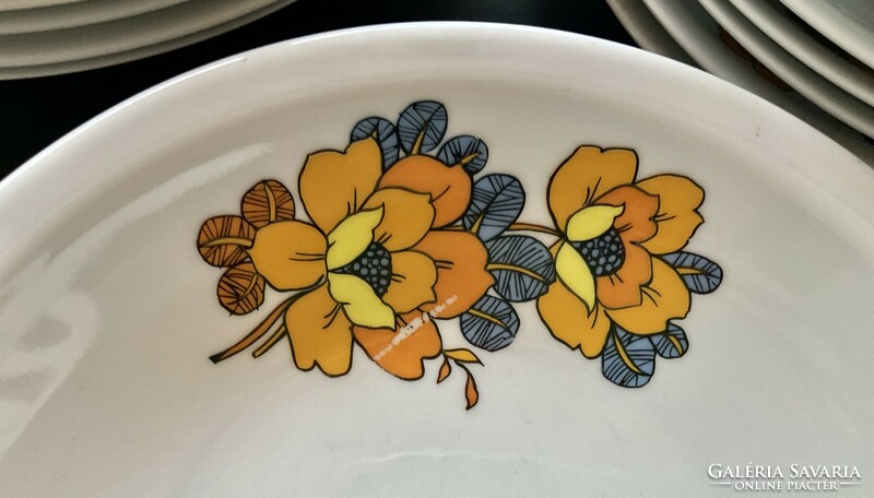 Alföldi vitrine set of yellow floral plates 17 bella plates