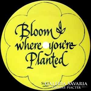 Rev. Carey Landry - Bloom Where You're Planted (LP, Album)