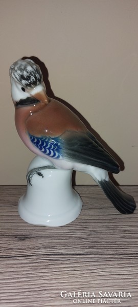 Flawless, rare ens volkstedt porcelain bird, jay