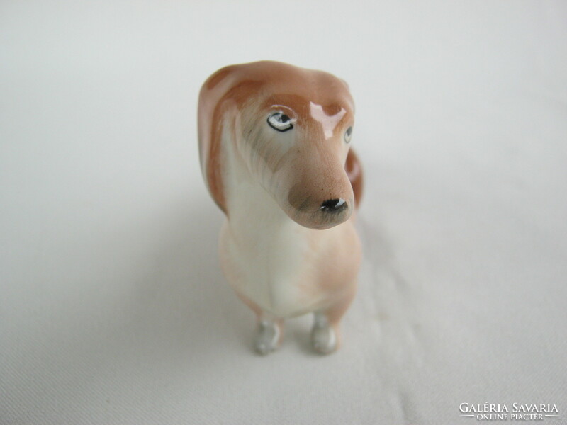 Aquincumi porcelán tacskó kutya