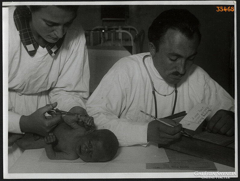 Larger size, photo art work by István Szendrő. Newborn lamb Bela in the hospital, doctor