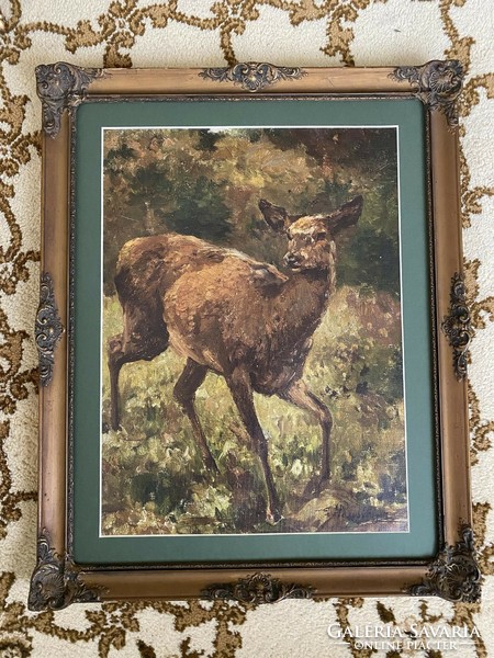 Hunting scene - print in an antique blonde frame - a deer is sitting on the edge of the forest