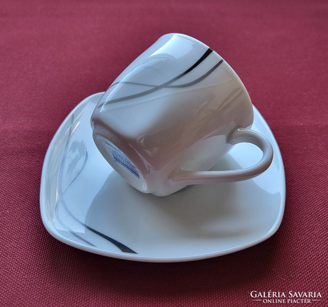 Wellco German porcelain coffee set cup saucer plate