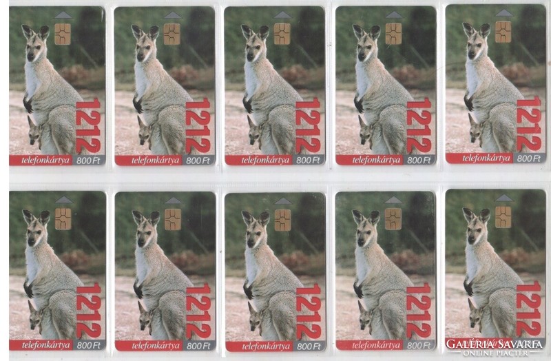 Hungarian phone card 1081 1212-kangaroo 200,000 Pcs