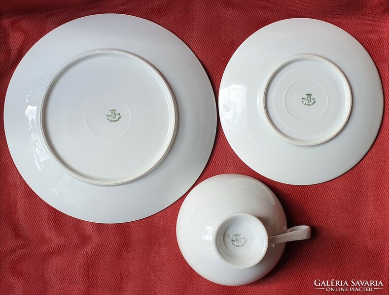 Von schierholz German porcelain breakfast set cup saucer small plate coffee tea